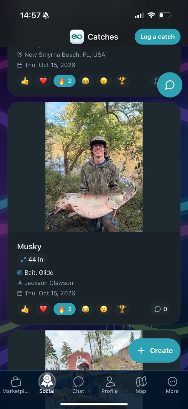 Catches feed screen